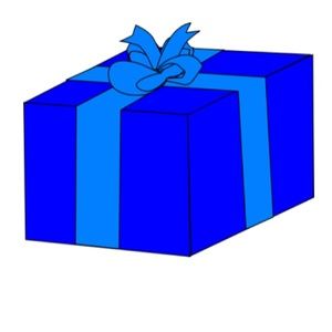 Small - Lingerie Mystery Box- $150.00+ Items -  not to exceed 5lbs.